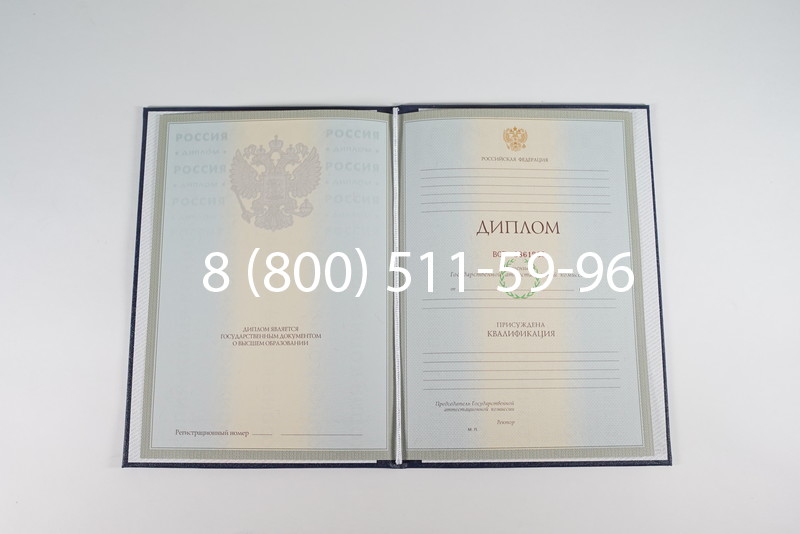 Диплом о высшем образовании 2003-2009 годов в Воронеже