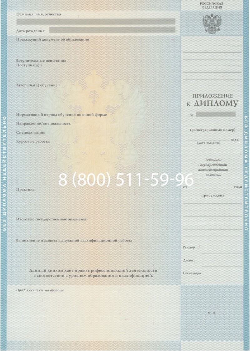Заказать Диплом специалиста 2010-2011 годов в Воронеже