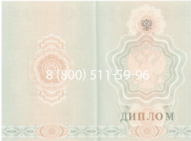 Купить Диплом училища 2007-2009 годов в Воронеже